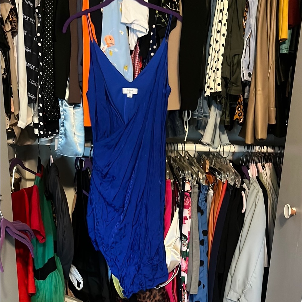 Cushnie Vibrant Blue Garment